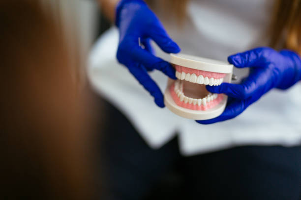 Best Full Mouth Reconstruction  in North Lima, OH